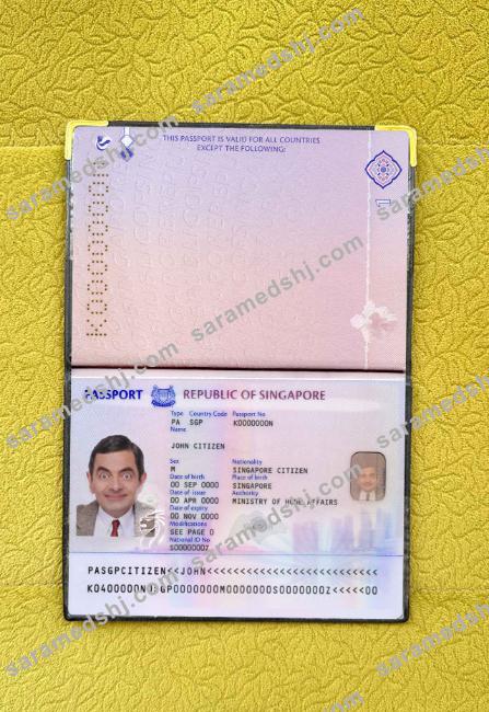 Singapore new passport (2017+)  photo look